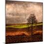 Van Gough's Mind-Philippe Sainte-Laudy-Mounted Premium Photographic Print