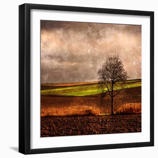 Van Gough's Mind-Philippe Sainte-Laudy-Framed Photographic Print