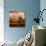 Van Gough's Mind-Philippe Sainte-Laudy-Photographic Print displayed on a wall