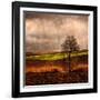 Van Gough's Mind-Philippe Sainte-Laudy-Framed Photographic Print