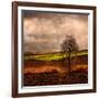 Van Gough's Mind-Philippe Sainte-Laudy-Framed Photographic Print