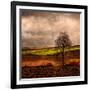 Van Gough's Mind-Philippe Sainte-Laudy-Framed Photographic Print