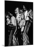 Van Halen ? Rotterdam 1979-null-Mounted Poster