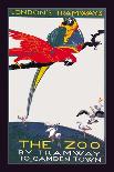 The London Zoo: The Macaw-Van Jones-Framed Stretched Canvas