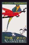 The London Zoo: The Macaw-Van Jones-Framed Stretched Canvas