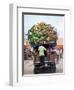 Van Loaded with Bananas on Its Roof Leaving the Market, Stone Town, Zanzibar, Tanzania-Yadid Levy-Framed Photographic Print