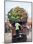 Van Loaded with Bananas on Its Roof Leaving the Market, Stone Town, Zanzibar, Tanzania-Yadid Levy-Mounted Photographic Print