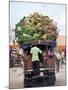 Van Loaded with Bananas on Its Roof Leaving the Market, Stone Town, Zanzibar, Tanzania-Yadid Levy-Mounted Photographic Print