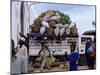 Van Loaded with Bananas on Its Roof Leaving the Market, Stone Town, Zanzibar, Tanzania-Yadid Levy-Mounted Photographic Print