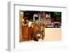 Van - Route 66 - Gas Station - Arizona - United States-Philippe Hugonnard-Framed Premium Photographic Print