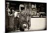Van - Route 66 - Gas Station - Arizona - United States-Philippe Hugonnard-Mounted Photographic Print