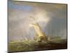 Van Tromp Returning after the Battle Off the Dogger Bank-J. M. W. Turner-Mounted Giclee Print