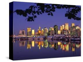 Vancouver and Lost Lagoon at Night-Ron Watts-Stretched Canvas