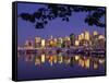 Vancouver and Lost Lagoon at Night-Ron Watts-Framed Stretched Canvas