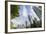 Vancouver Bc Downtown Waterfront Condominiums-jpldesigns-Framed Photographic Print