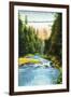 Vancouver, Canada - View of Capilano Suspension Bridge No. 2-Lantern Press-Framed Art Print