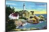 Vancouver, Canada - View of Point Atkinson Lighthouse-Lantern Press-Mounted Art Print