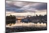 Vancouver city in the morning, viewed from the Stanley Park, Vancouver, British Columbia, Canada, N-JIA HE-Mounted Photographic Print