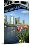 Vancouver from GranvilleIsland-null-Mounted Premium Giclee Print