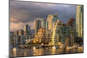 Vancouver from GranvilleIsland-null-Mounted Art Print