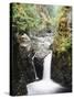 Vancouver Island, Englishman River Falls Park, Englishman River Falls-Christopher Talbot Frank-Stretched Canvas