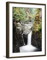 Vancouver Island, Englishman River Falls Park, Englishman River Falls-Christopher Talbot Frank-Framed Premium Photographic Print