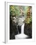 Vancouver Island, Englishman River Falls Park, Englishman River Falls-Christopher Talbot Frank-Framed Photographic Print