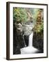 Vancouver Island, Englishman River Falls Park, Englishman River Falls-Christopher Talbot Frank-Framed Photographic Print