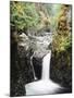 Vancouver Island, Englishman River Falls Park, Englishman River Falls-Christopher Talbot Frank-Mounted Photographic Print