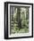 Vancouver Island, Old Growth Douglas Fir in Cathedral Grove-Christopher Talbot Frank-Framed Photographic Print