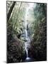 Vancouver Island, Strathcona Provincial Park, Lupin Falls-Christopher Talbot Frank-Mounted Photographic Print