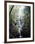 Vancouver Island, Strathcona Provincial Park, Lupin Falls-Christopher Talbot Frank-Framed Photographic Print
