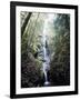 Vancouver Island, Strathcona Provincial Park, Lupin Falls-Christopher Talbot Frank-Framed Photographic Print