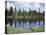 Vancouver Island, Strathcona Provincial Park, Reflecting in a Tarn-Christopher Talbot Frank-Stretched Canvas