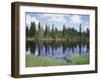 Vancouver Island, Strathcona Provincial Park, Reflecting in a Tarn-Christopher Talbot Frank-Framed Premium Photographic Print