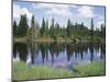 Vancouver Island, Strathcona Provincial Park, Reflecting in a Tarn-Christopher Talbot Frank-Mounted Premium Photographic Print