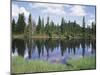 Vancouver Island, Strathcona Provincial Park, Reflecting in a Tarn-Christopher Talbot Frank-Mounted Photographic Print