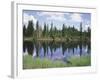 Vancouver Island, Strathcona Provincial Park, Reflecting in a Tarn-Christopher Talbot Frank-Framed Photographic Print