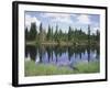 Vancouver Island, Strathcona Provincial Park, Reflecting in a Tarn-Christopher Talbot Frank-Framed Photographic Print