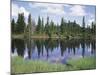 Vancouver Island, Strathcona Provincial Park, Reflecting in a Tarn-Christopher Talbot Frank-Mounted Photographic Print