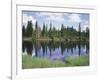 Vancouver Island, Strathcona Provincial Park, Reflecting in a Tarn-Christopher Talbot Frank-Framed Photographic Print