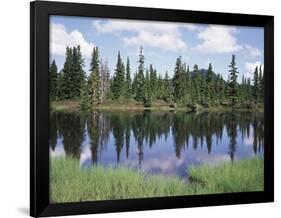 Vancouver Island, Strathcona Provincial Park, Reflecting in a Tarn-Christopher Talbot Frank-Framed Photographic Print