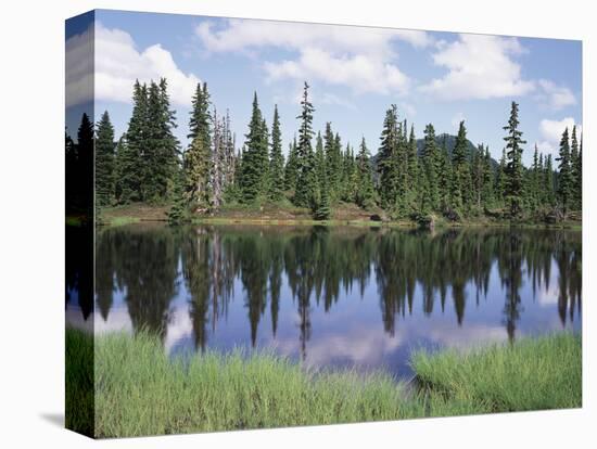 Vancouver Island, Strathcona Provincial Park, Reflecting in a Tarn-Christopher Talbot Frank-Stretched Canvas