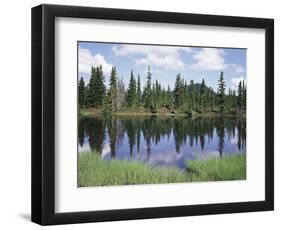 Vancouver Island, Strathcona Provincial Park, Reflecting in a Tarn-Christopher Talbot Frank-Framed Photographic Print