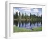 Vancouver Island, Strathcona Provincial Park, Reflecting in a Tarn-Christopher Talbot Frank-Framed Photographic Print