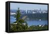 Vancouver Panorama-duallogic-Framed Stretched Canvas