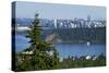 Vancouver Panorama-duallogic-Stretched Canvas