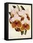 Vanda Sanderiana-John Nugent Fitch-Framed Stretched Canvas