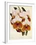 Vanda Sanderiana-John Nugent Fitch-Framed Giclee Print