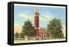 Vanderbilt University, Nashville, Tennessee-null-Framed Stretched Canvas